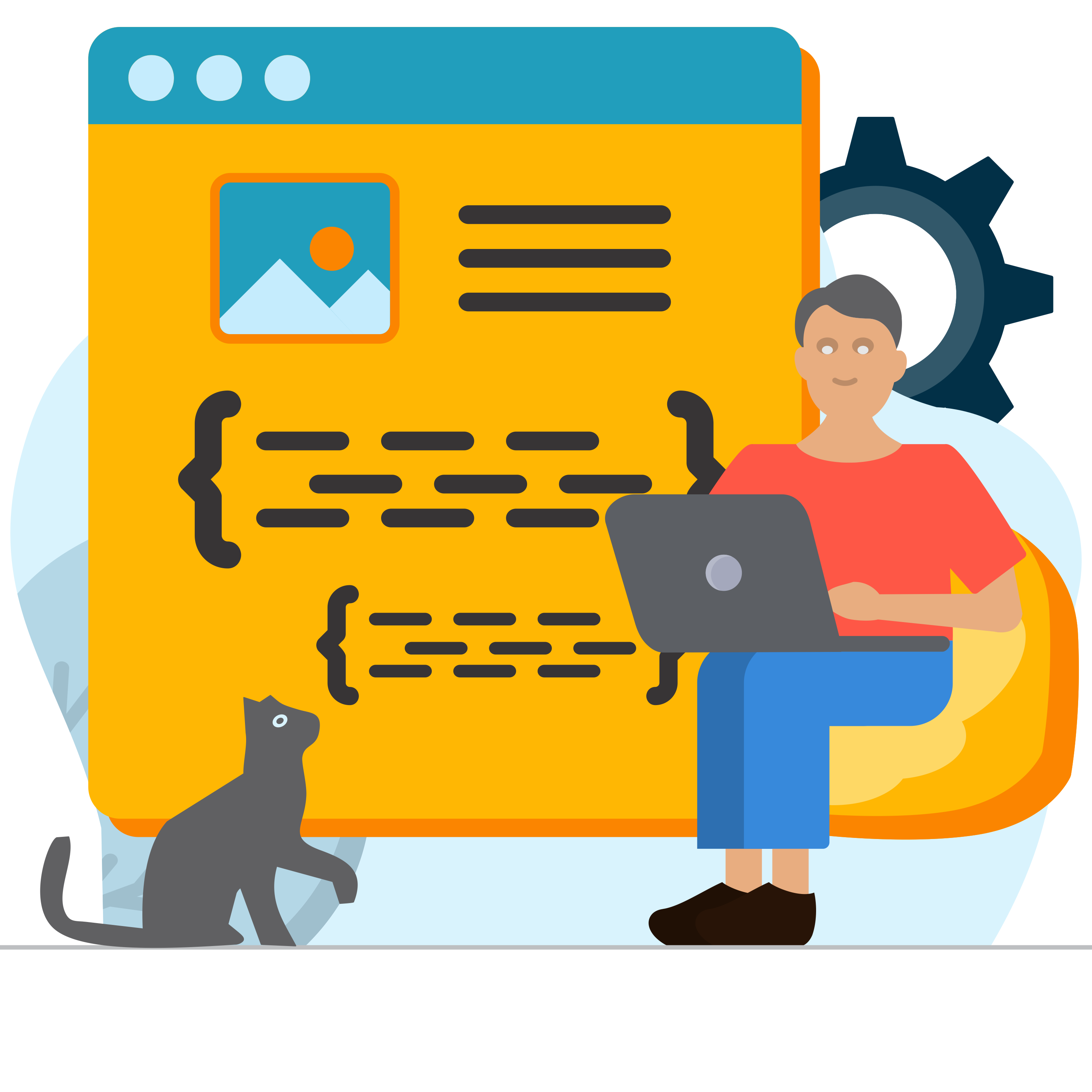 website-coding-programing-developing-male-laptop-www-setting-cat-pictur-photo-illustration-illustration