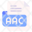 aac-file-type-format-extension-document-icon