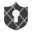 access-protection-shield-icon