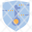 accessdata-security-protection-privacy-icon