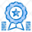 achievement-award-badge-medal-ribbon-icon