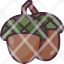 acorn-icon