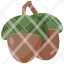 acorn-icon