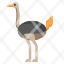 african-animal-bird-flightless-ostrich-safari-icon