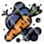 agriculture-carrot-farm-food-vegetable-icon