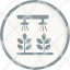 agriculture-farm-future-hydroponic-soilless-icon