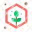 agriculture-grow-plant-seed-icon