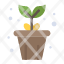 agriculture-pot-nature-plant-icon
