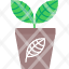 agronomy-growth-nature-plant-icon