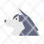 alaskan-breed-canine-dog-pet-siberian-husky-icon