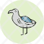 albatross-sea-birds-animal-bird-icon
