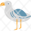 albatross-seabirds-animal-bird-icon