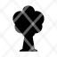 albero-icon