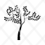 alberos-icon