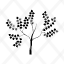 alberos-icon
