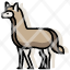 alpaca-animal-llama-mammal-wildlife-zoo-icon