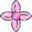 amaryllis-flower-clematis-daisy-icon