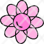 amaryllis-flower-clematis-holiday-icon
