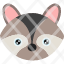 american-animal-fur-pest-raccoon-racoon-thief-icon-vector-design-icons-icon