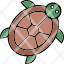 amphibian-sea-turtle-testudines-tortoise-icon