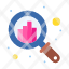 analysis-graph-growth-search-icon