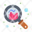 analysis-growth-search-graph-icon