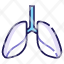 anatomy-cancer-lung-lungs-medical-organ-icon