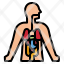 anatomy-human-body-organs-parts-icon