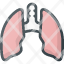anatomyorgan-medical-lung-lungs-icon