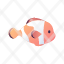 anemone-animal-aquarium-clownfish-diving-reef-icon