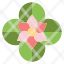 anemone-flower-spring-icon