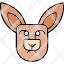 animal-australia-kangaroo-mammal-wildlife-zoo-icon-vector-design-icons-icon
