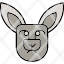 animal-australia-kangaroo-mammal-wildlife-zoo-icon-vector-design-icons-icon