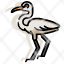 animal-bird-egret-elegant-heron-lake-icon
