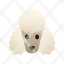 animal-breed-dog-pedigree-pet-poodle-icon