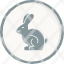 animal-bunny-cute-easter-nature-rabbit-icon