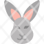 animal-bunny-cute-face-hare-portrait-rabbit-icon