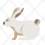 animal-bunny-domestic-mammal-pet-rabbit-icon