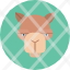 animal-camel-wildlife-zoo-animals-icon-vector-design-icons-icon
