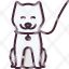 animal-caredog-animals-pet-icon