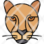 animal-cheetah-cute-face-head-leopard-wild-icon