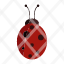 animal-deisgn-insect-ladybug-nature-red-icon