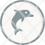 animal-dolphin-fish-ocean-icon