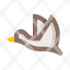 animal-duck-bird-drake-flight-fly-farm-icon