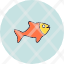 animal-fish-ocean-water-icon