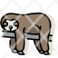 animal-lazy-mammal-sloth-slow-wildlife-icon