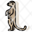 animal-mammal-meerkat-mongoose-suricate-wildlife-icon