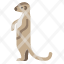 animal-mammal-meerkat-mongoose-suricate-wildlife-icon