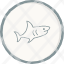animal-ocean-sea-shark-icon