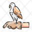 animal-training-falcon-hawk-obedient-outdoor-pet-icon